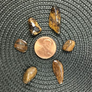 Bronzite Crystal Chips - Size XS