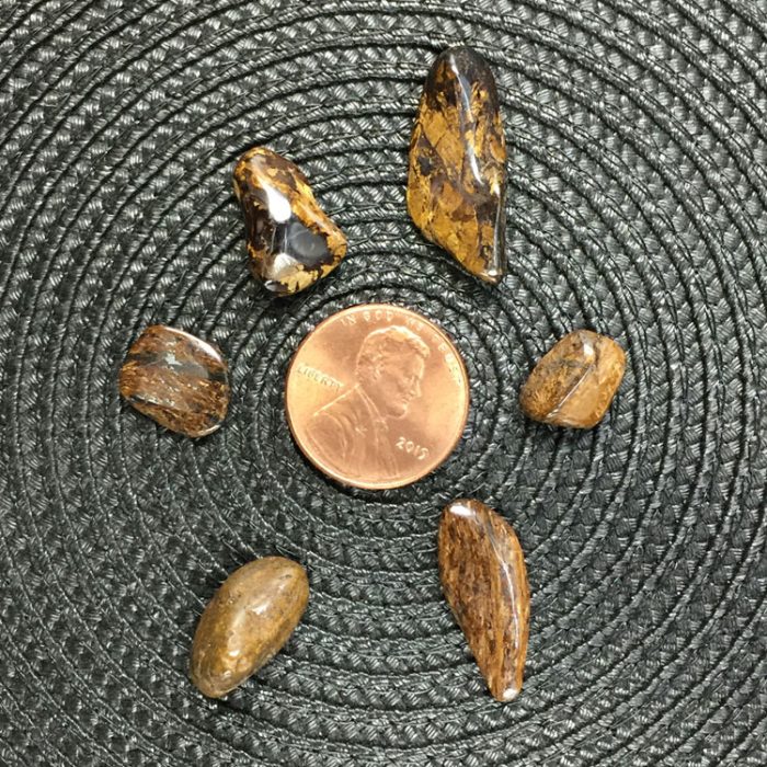 Bronzite Crystal Chips - Size XS