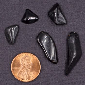 Black Tourmaline Crystal Chips - Size XS