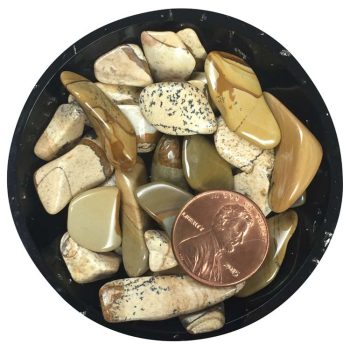 Picture Jasper Crystal Chips - Size XS
