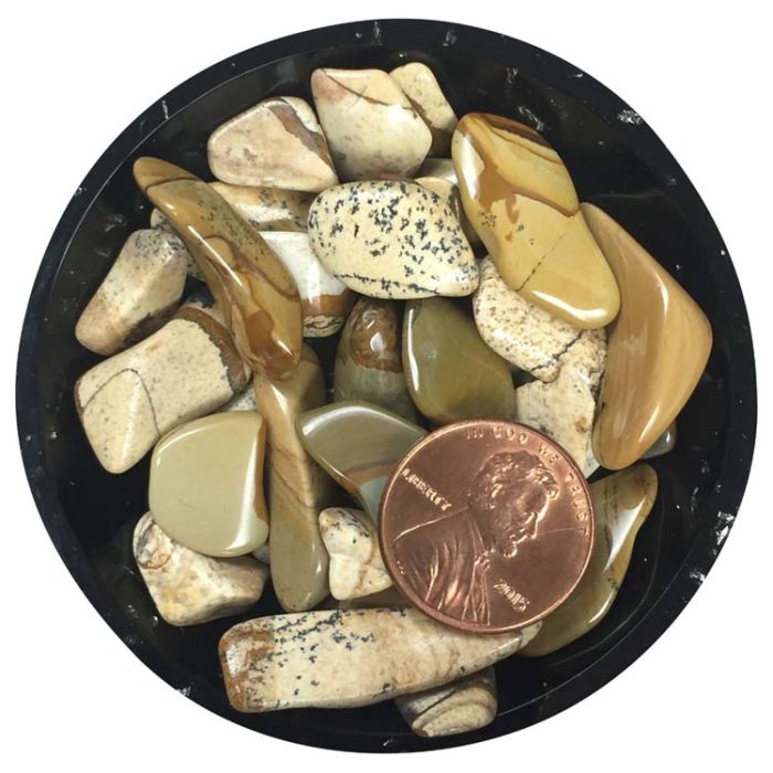 Picture Jasper Crystal Chips - Size XS