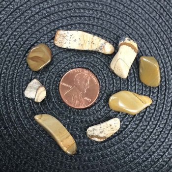 Picture Jasper Crystal Chips - Size XS