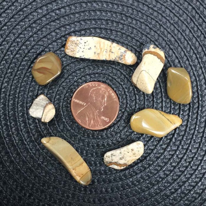 Picture Jasper Crystal Chips - Size XS