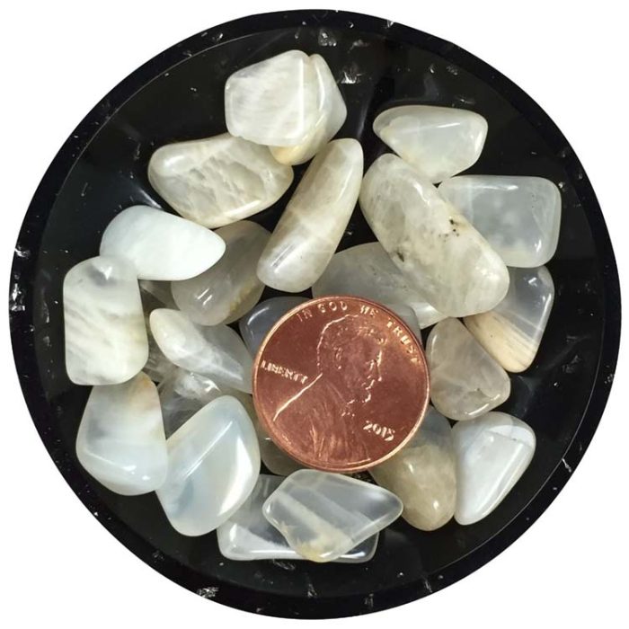 Moonstone (Cream) Crystal Chips – Size XS