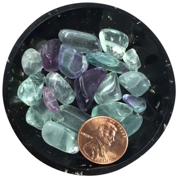 Fluorite Crystal Chips – Size XS