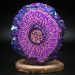 Fantasy Flower Resin Pour Tutorial