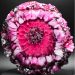 How to create a Spiral Flower Variation Resin Pour