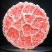 Rose Quartz Geode Agate Coaster Tutorial