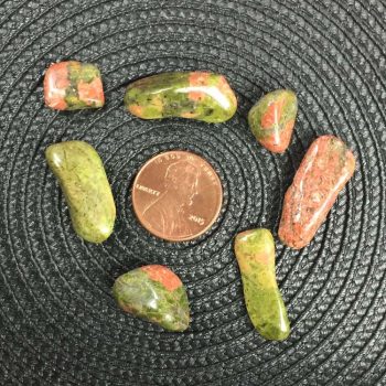 Unakite Crystal Chips – Size XS