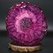 Gorgeous Large Cells in a Chrysanthemum Flower Resin Pour