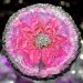 3D Resin Bloom Tutorial in our Crystal Edge Round Mold