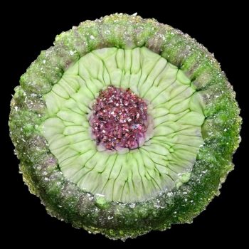 Green Galaxy Crystal Edge Vanity Tray