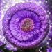 Amethyst Shimmer Resin Pour Tutorial in our Crystal Edge Round Mold