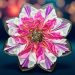 3D Resin Bloom using Bond Craftor Resin
