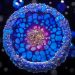 Deep Blue Fantasy Resin Tutorial in our Crystal Edge Round Mold