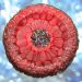 Rubine Red Resin Tutorial in our Crystal Edge Round Mold