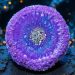 Midnight Sparkle Resin Tutorial in our Crystal Edge Round Mold