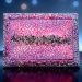 Crackle Effect Tutorial in our Crystal Edge Vanity Tray Mold
