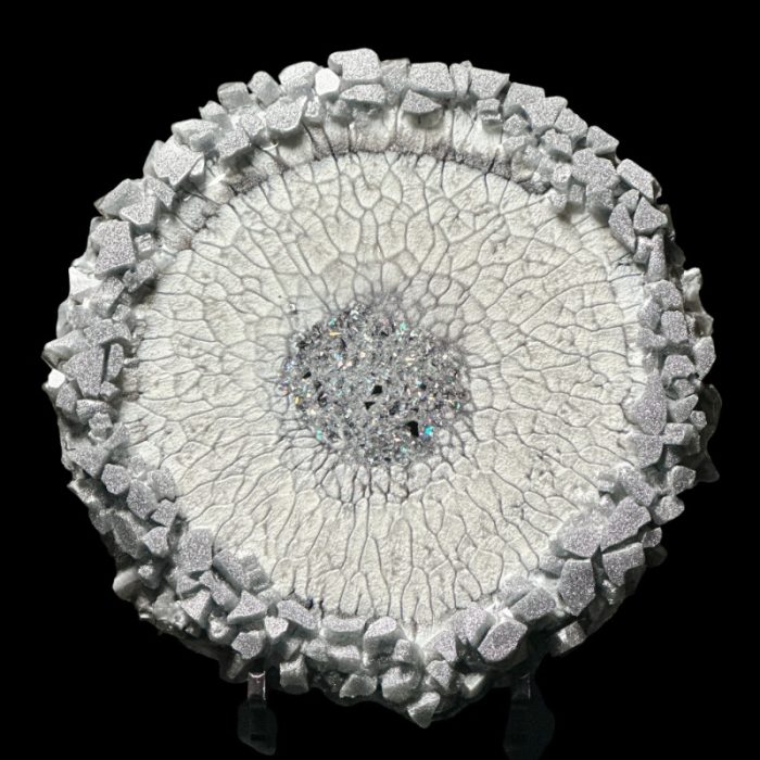 Silver Dragon Scale Large Crystal Edge Vanity Tray