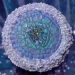 Abalone Larimar Pour in our Crystal Edge Round Mold