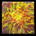 Resin Dutch Pour with Art Pro Resin by Resin Pro