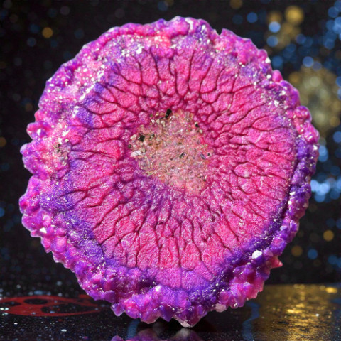 Dragon Scale Effect in our Crystal Edge C Mold