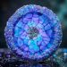 Drizzle Bloom Take 2 in our Crystal Edge Round Mold