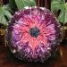 3D Resin Bloom in our Colossal Crystal Edge Mold