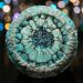 Black Turquoise Galaxy Pour using Art Pro Resin by Resin Pro