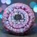Indigo Pearl Resin Tutorial using Resiners Crystal Clear Epoxy Resin