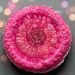 Magenta Shimmer Resin Tutorial in our Crystal Edge Round Mold